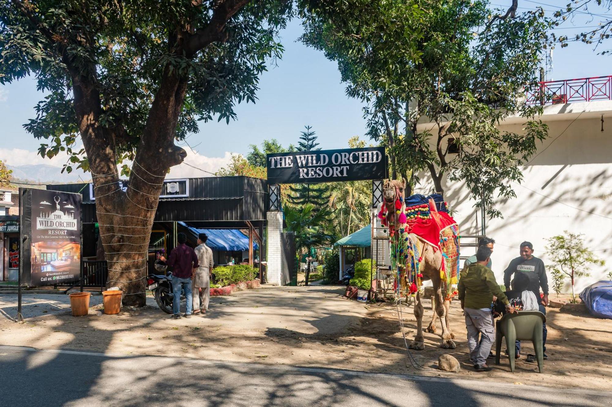 The Wild Orchid Resort Corbett Ramnagar  Ngoại thất bức ảnh